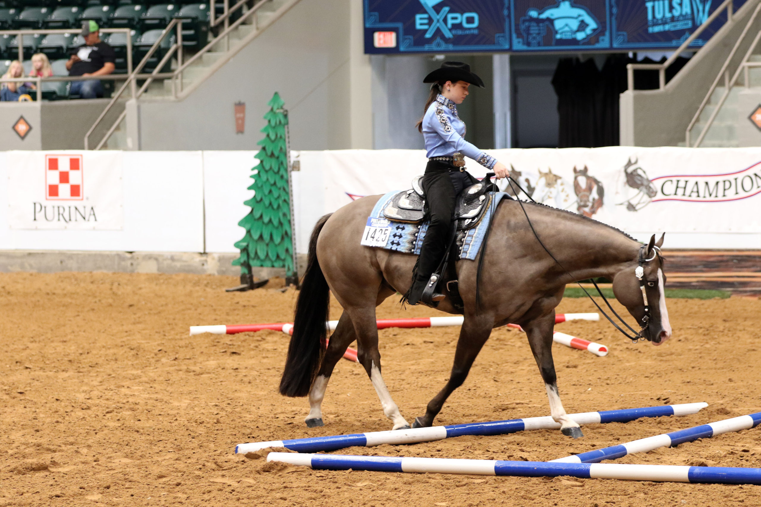 2023 Pinto World Show (De Amico Photos) KVPICS